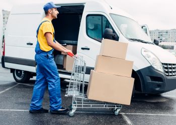 Express delivery by excelnet cargo